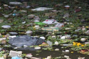 Trash accumulations near Pashan Lake wildlife, Pune India. 