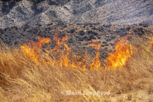 Madagascar grass fire