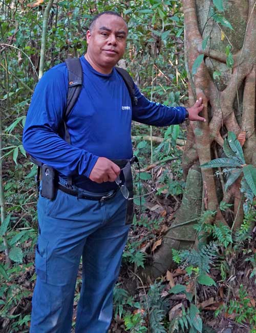 Dr. Mark Shepherd hiking the Amazon rainforest